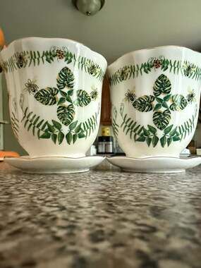 Set of 2 Vintage Porcelain Botanical Bee and Fern Planters with Saucers